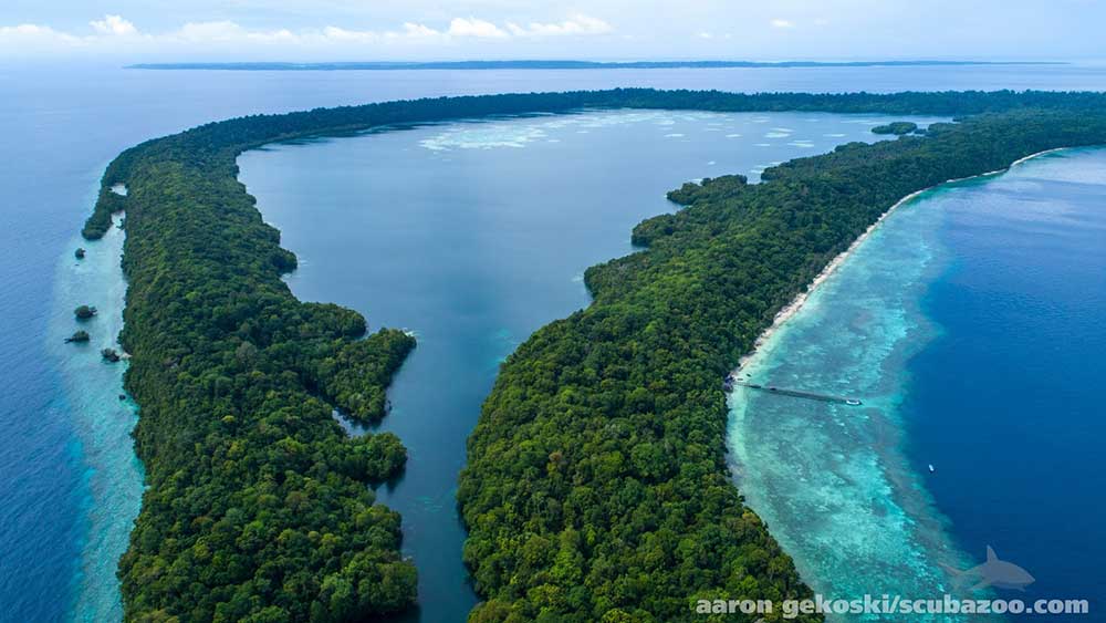 jellyfish lake aerial