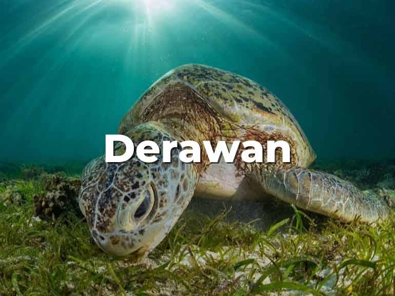 derawan island