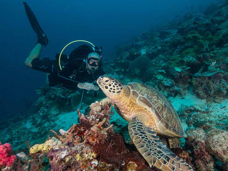 discover scuba diving