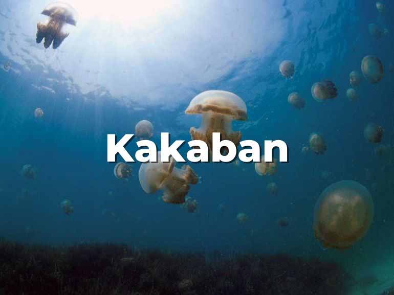 kakaban island