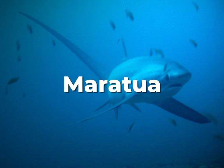 maratua island