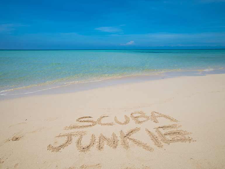 about scuba junkie