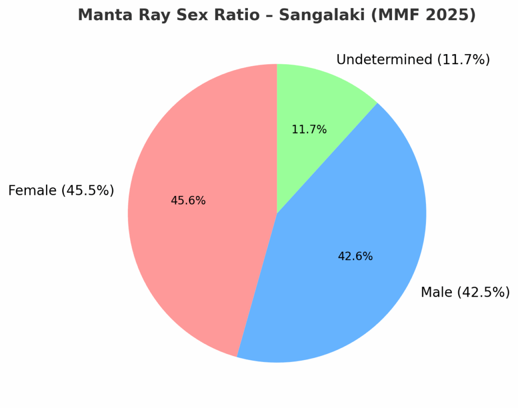 Manta Rays In Sangalaki