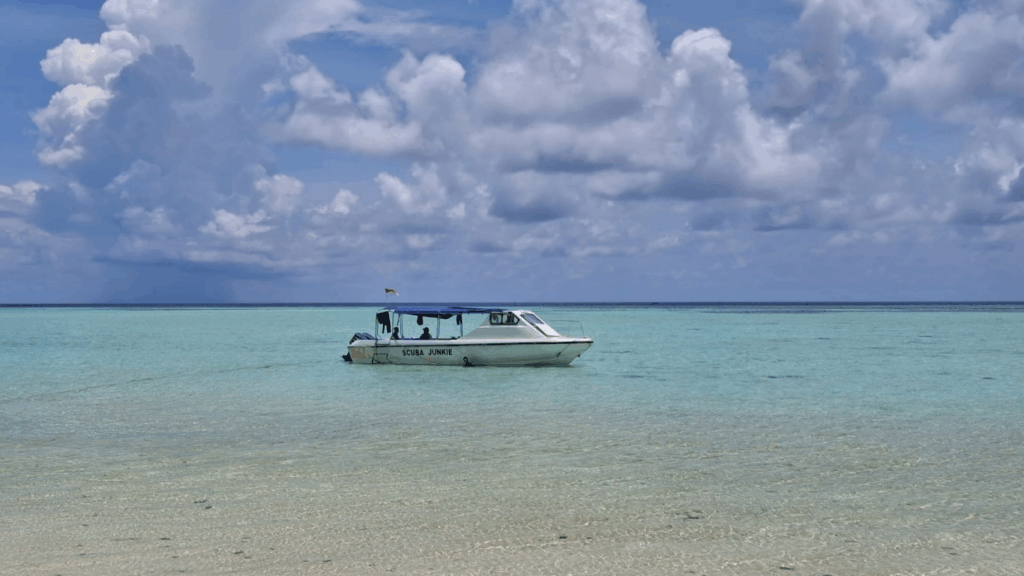 Don’t Forget to Bring in Derawan