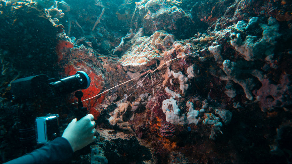 Diving Buoyancy Control