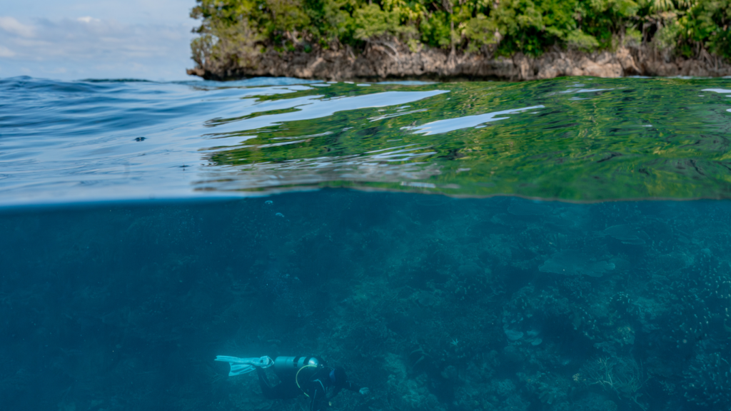 world oceans day
